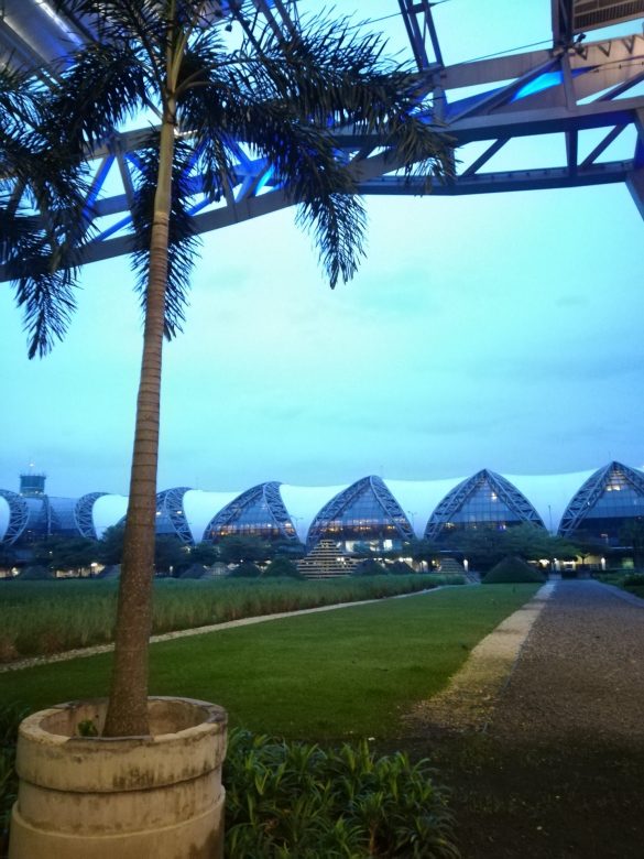 Vor dem Abflug aus Thailand sehen wir noch auf die Hallen des Flughafens und eine Palme davor.