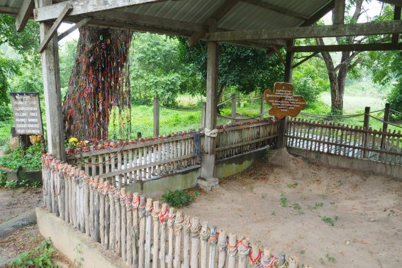 Ein Grab der Killing Fields und der dramatische Baum an dem viele gestorben sind.