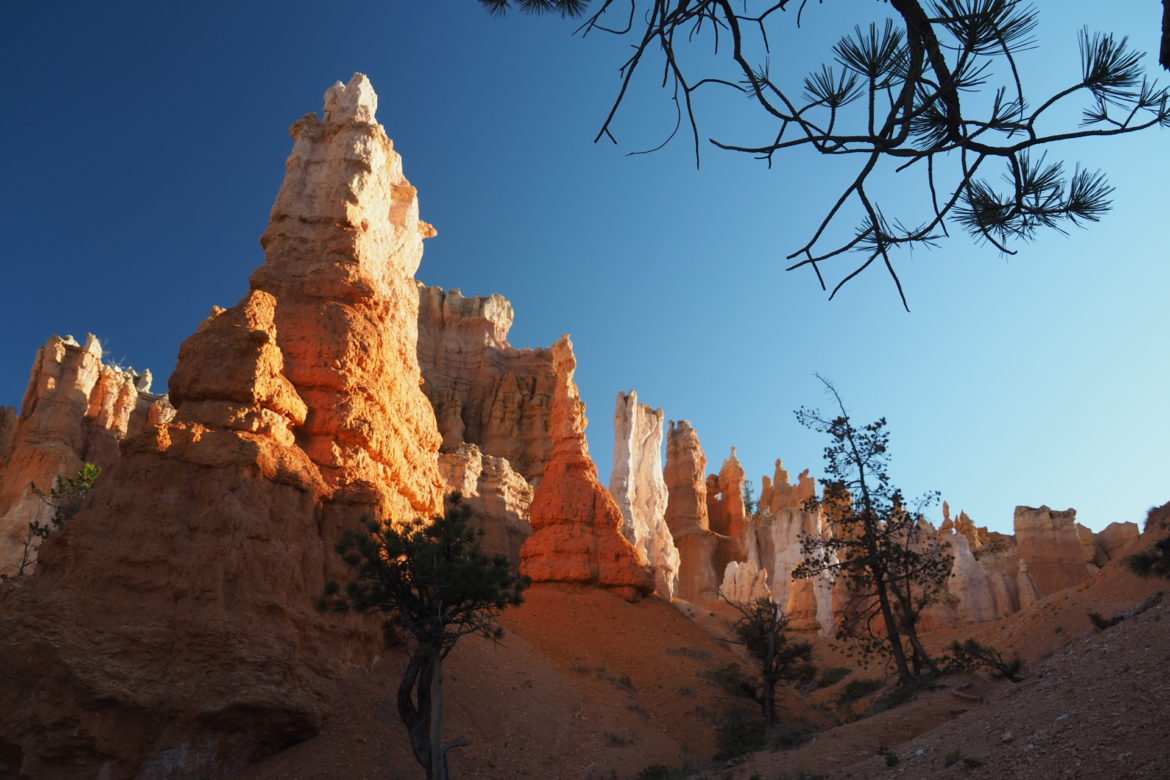 Auf einer Wanderung am Queens Garden Train, während des Sonnenaufgangs, durch den Bryce Canyon National Park konnten wir die rötlichen Säulen des Amphitheaters, auch bekannt unter dem Namen Hoodoos, in einem besonderen Licht bestaunen.