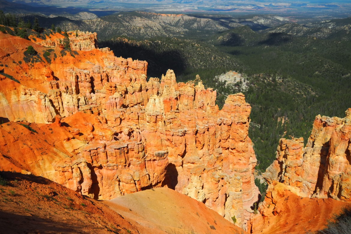 Der Blick über das Amphietheater des Bryce Canyons von einem der Lookouts. Die rießigen Säulen, auch Hoodoos genannt leuchten in der Sonne in verschiedenen rot und orange Tönen