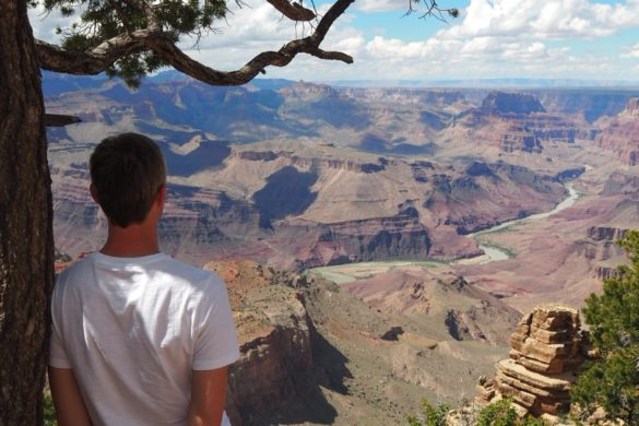 Markus lehnt sich gerade an einen Baum, während er ein Ausblick über den Crand Canyon und dem darin fließenden Colorado River genießt.