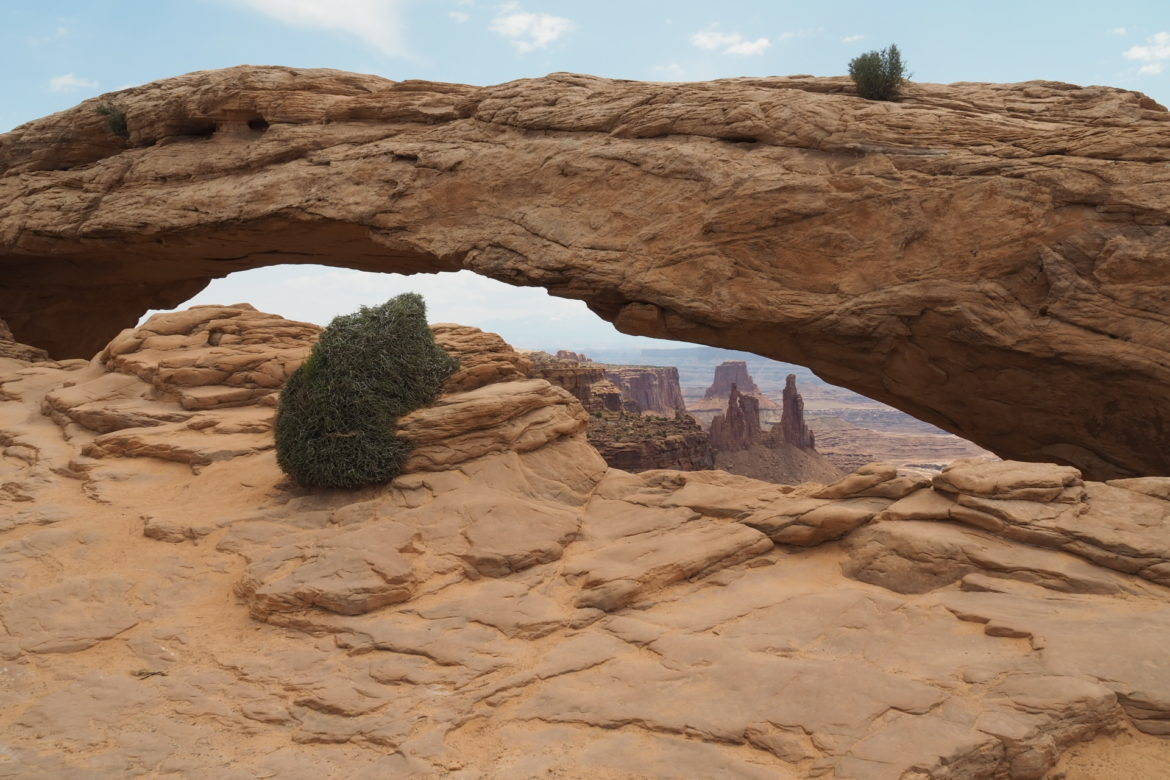 Wohl einer der berühmtesten Steinbögen, Mesa Arch im Canyonlands National Park. Im Vordergrund sieht man die Felsen vor dem Mesa Arch mit einem einsamen kleinen, grünen Busch während man im Hintergrund durch den Steinbogen hindurch die weite Landschaft mit ihren Steinsäulen verkennen kann.