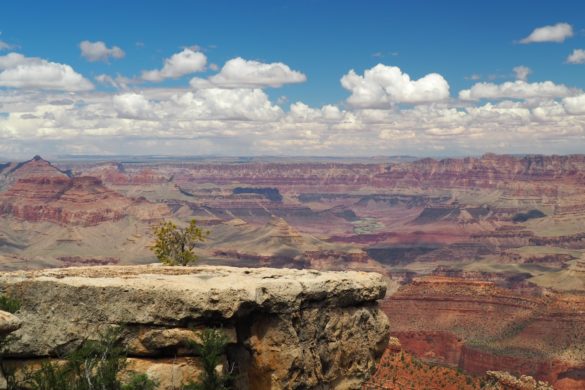 Ein kleines Plateau mit einem kleinen, einsamen Baum befindet sich im Vordergrund. Der Crand Canyon erstreckt sich in unendlicher Weite in den Hintergrund, in dem man sogar, weit entfernt den Colorado River erkennen kann.